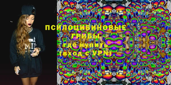 apvp Михайлов