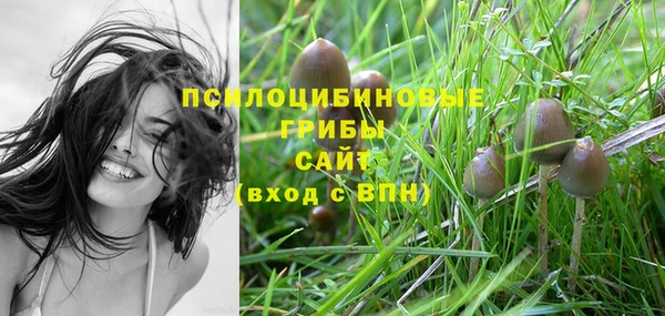 гашиш Надым