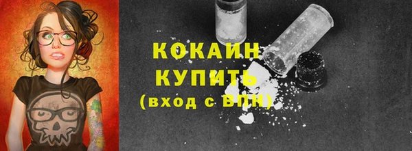 apvp Михайлов